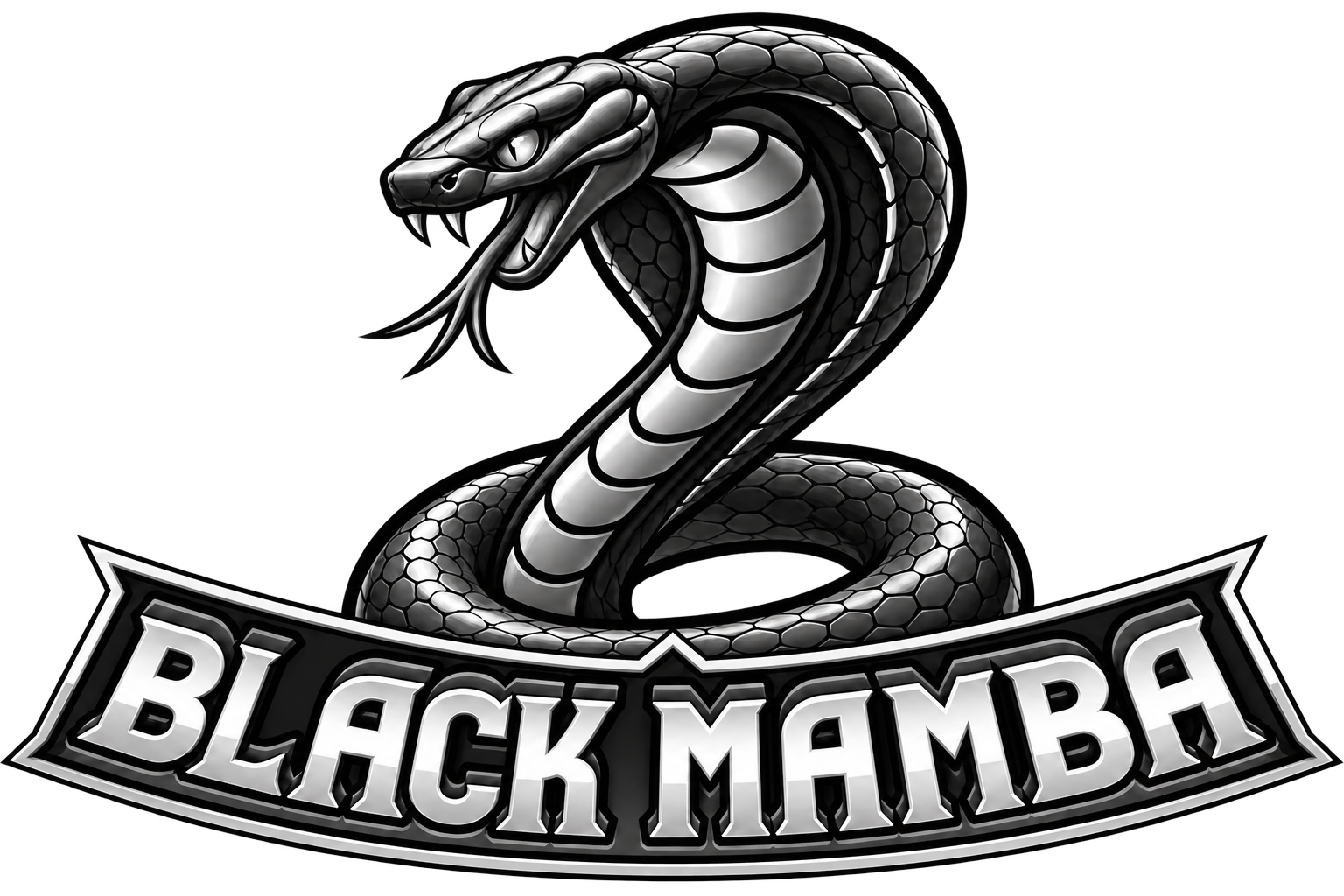 Black Mamba logo
